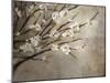 Antique Tree-Kari Taylor-Mounted Giclee Print