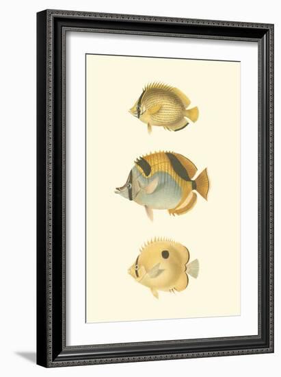 Antique Tropical Fish I-Vision Studio-Framed Art Print