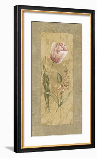 Antique Tulip-Stefania Carlini-Framed Giclee Print