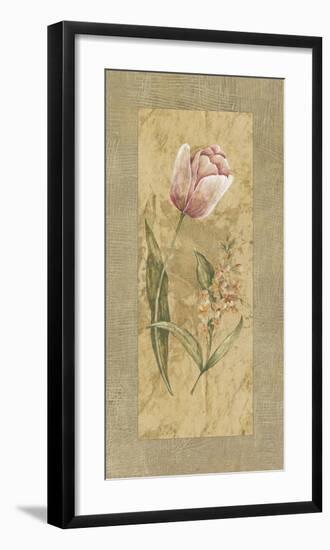 Antique Tulip-Stefania Carlini-Framed Giclee Print