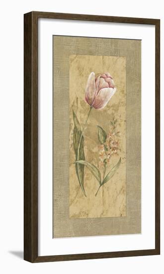 Antique Tulip-Stefania Carlini-Framed Giclee Print