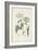 Antique Turpin Botanical IX-0 Turpin-Framed Art Print