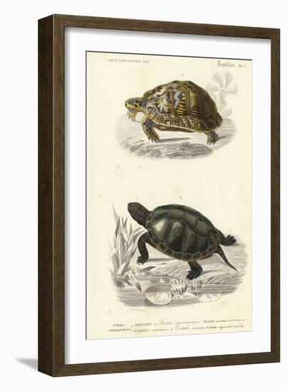 Antique Turtle Duo II-Oudart-Framed Art Print