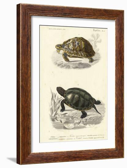 Antique Turtle Duo II-Oudart-Framed Art Print