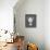 Antique Urn - Slate-Mark Chandon-Giclee Print displayed on a wall