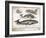 Antique Whales II-Gwendolyn Babbitt-Framed Art Print