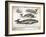 Antique Whales II-Gwendolyn Babbitt-Framed Art Print