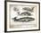 Antique Whales II-Gwendolyn Babbitt-Framed Art Print