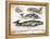 Antique Whales II-Gwendolyn Babbitt-Framed Stretched Canvas