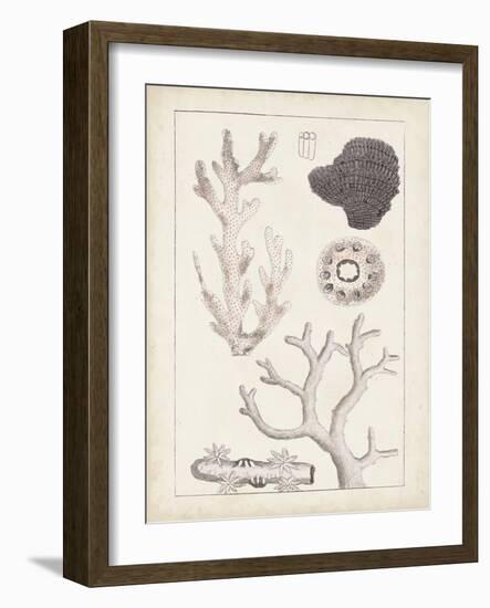 Antique White Coral II-Vision Studio-Framed Art Print