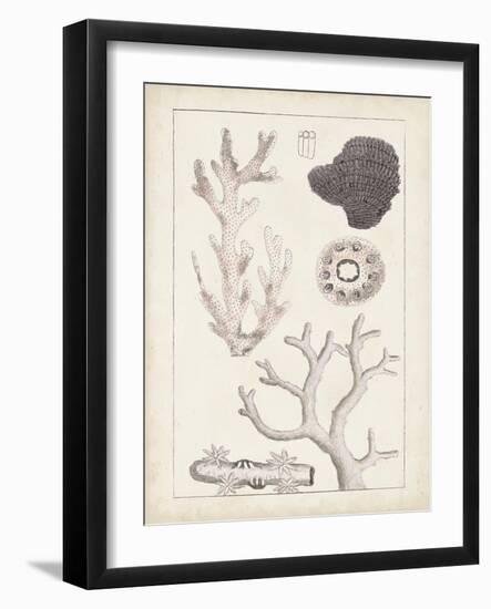 Antique White Coral II-Vision Studio-Framed Art Print