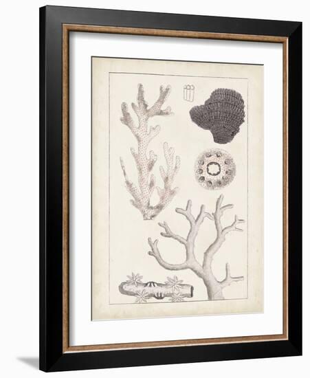 Antique White Coral II-Vision Studio-Framed Art Print