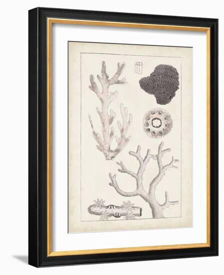 Antique White Coral II-Vision Studio-Framed Art Print