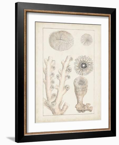 Antique White Coral III-Vision Studio-Framed Art Print