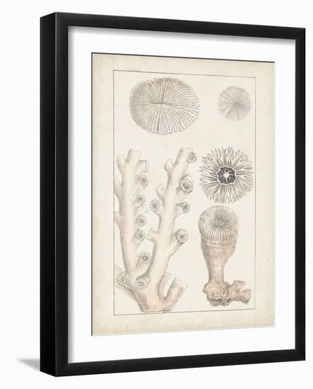 Antique White Coral III-Vision Studio-Framed Art Print