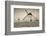 Antique windmills in a field, Campo De Criptana, Ciudad Real Province, Castilla La Mancha, Spain-null-Framed Photographic Print