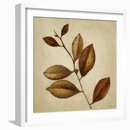 Antiqued Leaves II-Lanie Loreth-Framed Art Print