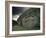 Antiquities, County Meath, Leinster, Republic of Ireland (Eire)-Adam Woolfitt-Framed Photographic Print