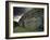 Antiquities, County Meath, Leinster, Republic of Ireland (Eire)-Adam Woolfitt-Framed Photographic Print