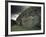 Antiquities, County Meath, Leinster, Republic of Ireland (Eire)-Adam Woolfitt-Framed Photographic Print