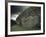 Antiquities, County Meath, Leinster, Republic of Ireland (Eire)-Adam Woolfitt-Framed Photographic Print