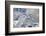 Antisana volcano, Antisana National Park, Ecuador.-Adam Jones-Framed Photographic Print