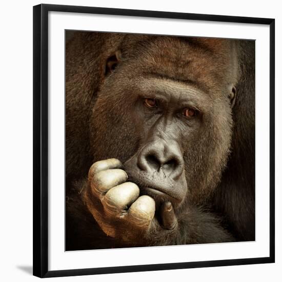 Photographic Print, , large