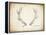 Antler Specimen A-THE Studio-Framed Premier Image Canvas