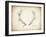 Antler Specimen A-THE Studio-Framed Giclee Print