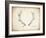 Antler Specimen A-THE Studio-Framed Giclee Print