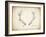 Antler Specimen A-THE Studio-Framed Premium Giclee Print