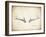 Antler Specimen B-THE Studio-Framed Giclee Print