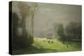 Stretched Canvas Print