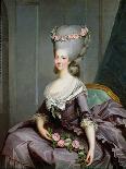 Marie-Therese De Savoie-Carignan (1749-92) Princess of Lamballe-Antoine Francois Callet-Giclee Print
