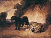Leopard and Serpent, 1810–75-Antoine Louis Barye-Framed Giclee Print