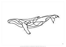 Humpback Whale-Antoine Tesquier Tedeschi-Framed Art Print