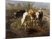 Giclee Print