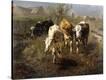 Stretched Canvas Print