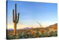 Stretched Canvas Print