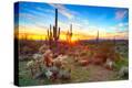 Stretched Canvas Print