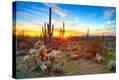 Stretched Canvas Print