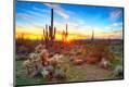 Premium Photographic Print