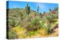 Stretched Canvas Print