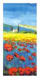 Poppies Forever I-Anton Knorpel-Framed Art Print