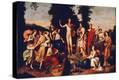 Stretched Canvas Print