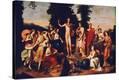 Stretched Canvas Print