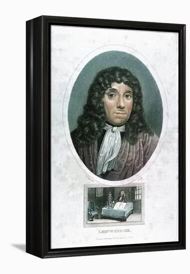 Anton Van Leeuwenhoek (1632-172), Dutch Microscopist, C1810-John Chapman-Framed Premier Image Canvas