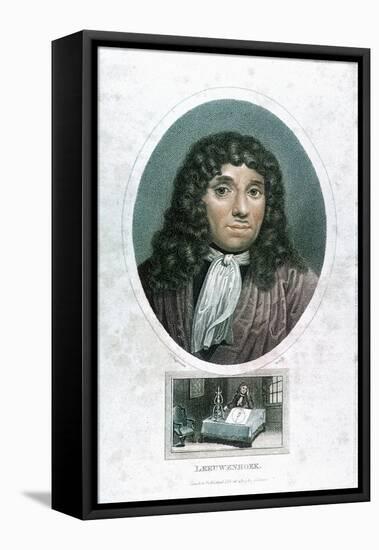 Anton Van Leeuwenhoek (1632-172), Dutch Microscopist, C1810-John Chapman-Framed Premier Image Canvas