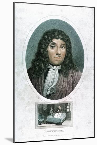 Anton Van Leeuwenhoek (1632-172), Dutch Microscopist, C1810-John Chapman-Mounted Giclee Print