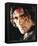 Antonio Banderas - Assassins-null-Framed Stretched Canvas